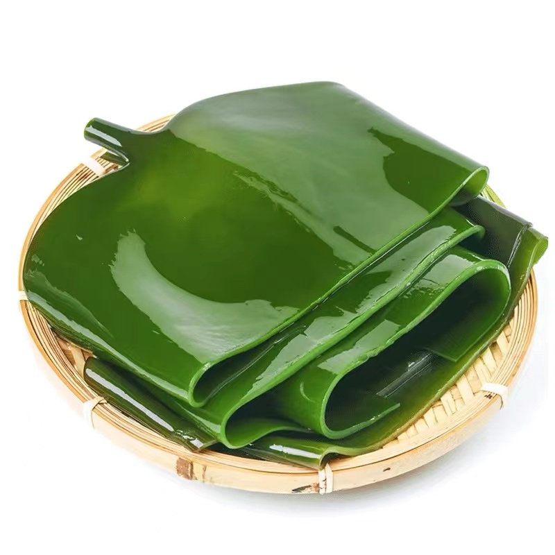 荣成当季新鲜盐渍1.5倍泡发率海带头 海带根