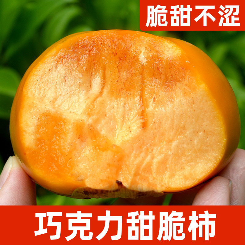 【脆甜不涩】山西阳丰脆柿子甜脆柿子甜柿巧克力柿新鲜水果5-9斤