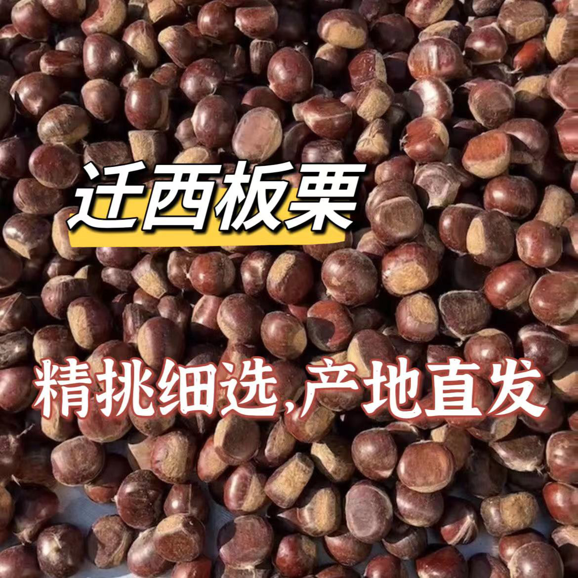 糖炒板栗生板栗专用2025正宗迁西板栗生栗子批发正宗313新鲜商用
