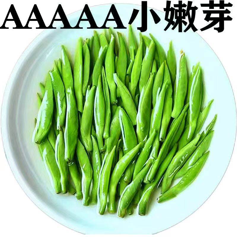 雀舌绿茶全芽2025新茶叶明前特级贵州湄潭嫩芽翠芽高山毛尖浓香型