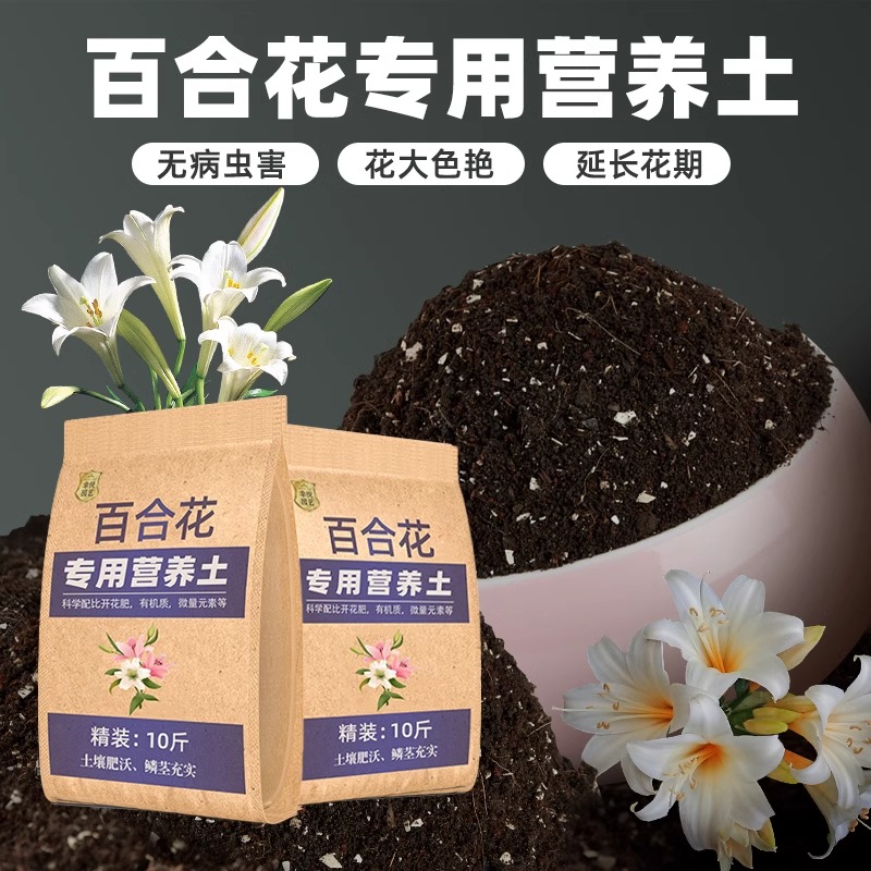 种百合花专用营养土养花专用通用种球土泥土种花土壤通用型种植土