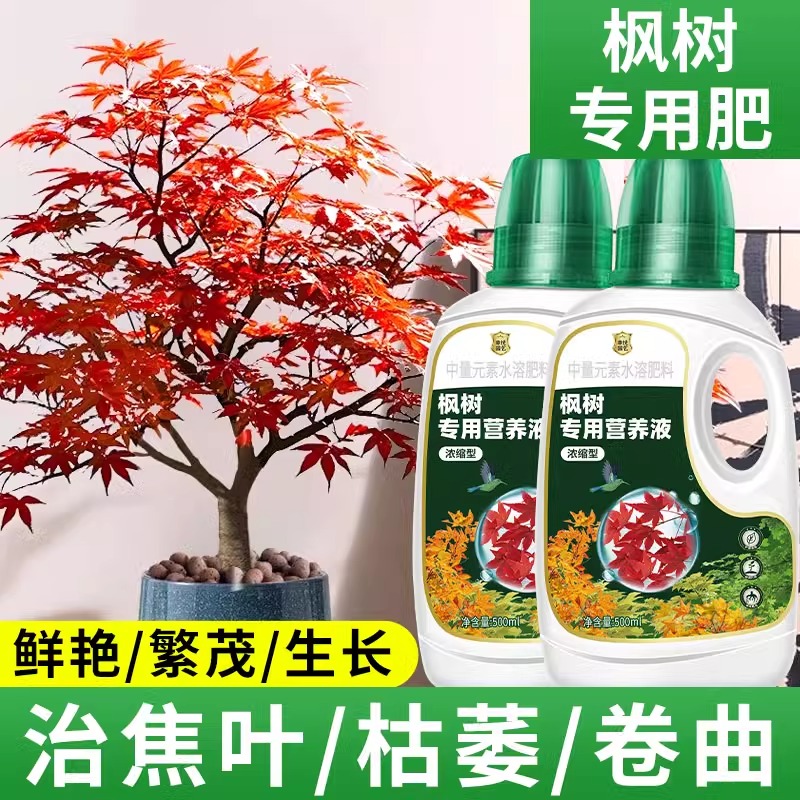 红枫树浓缩营养液花肥黄金流泉枫专用肥料红舞姬老桩水溶肥液体肥