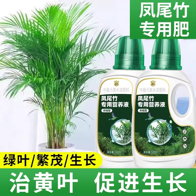 凤尾竹浓缩营养液花肥水培米竹凤尾蕉专用肥料散尾葵水溶液体盆栽