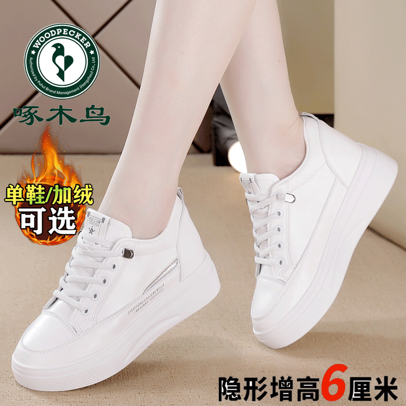 啄木鸟品牌内增高百搭加绒小白鞋2024新款舒适韩版软底休闲运动鞋