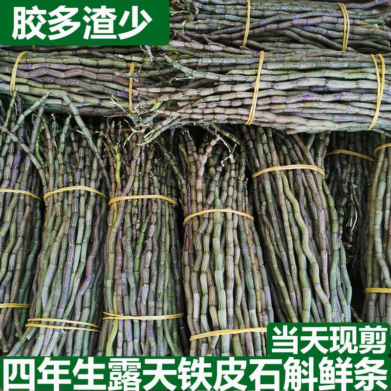 中秋好物云南石斛鲜条500克250克铁皮石斛鲜条石斛花铁皮干条石斛
