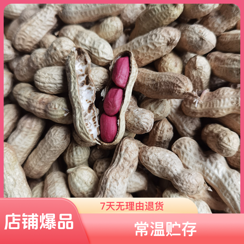 2025年新货红米花生干货带壳花生3斤/装
