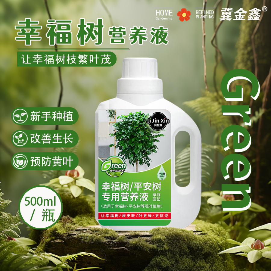 冀金鑫幸福树营养液急救落叶干枯预防黄叶掉叶发财树龙血树通用