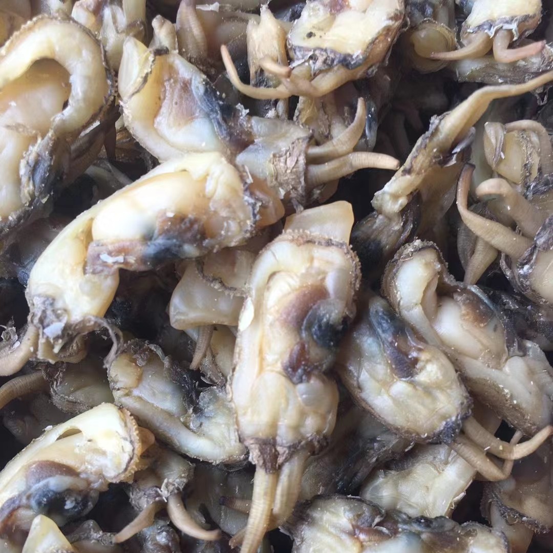 潮星精选莆田本地蛏干岱前蛏干美味可口蛏干500g包邮