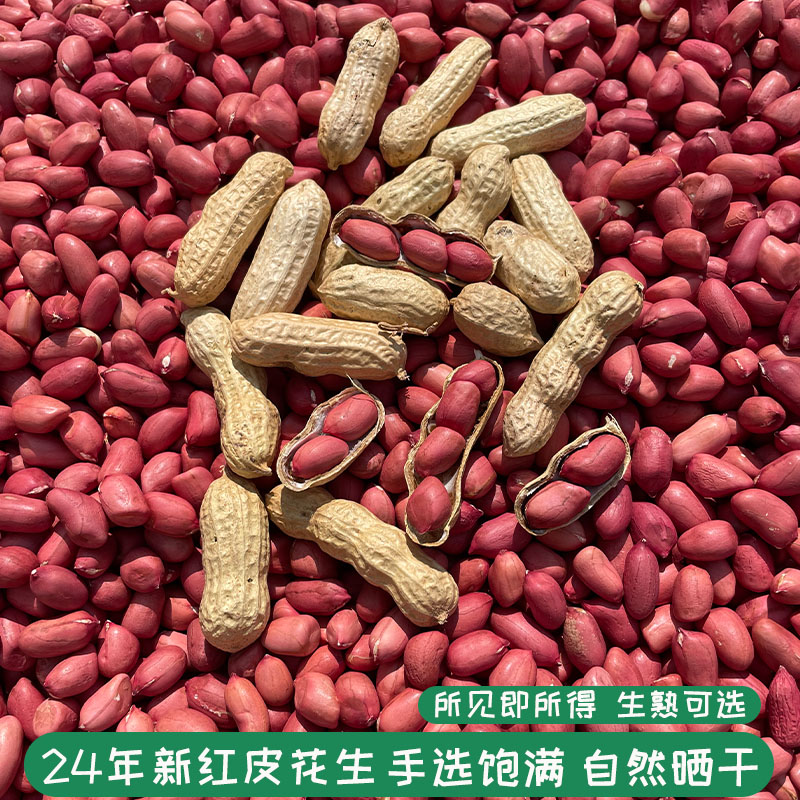 当季新货红皮小花生带壳农家自种四粒红花生红衣花生米花生仁带壳