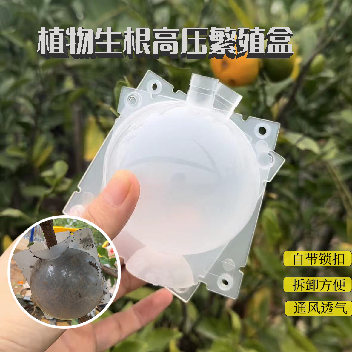 植物高压繁殖盒控根器扦插嫁接高压包生根盒枝繁殖球生根繁殖器