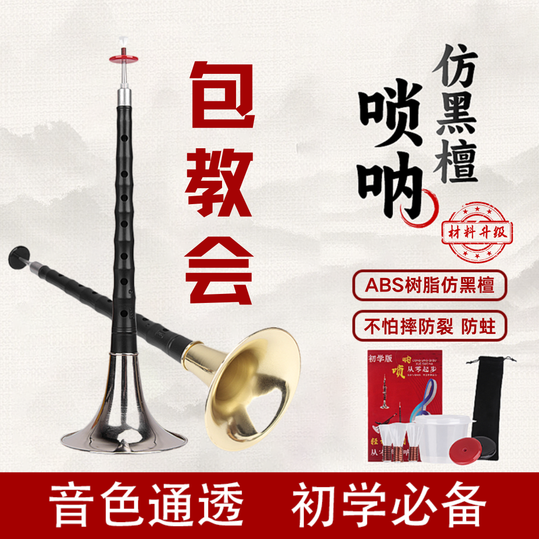 专业演奏仿黑檀唢呐乐器D调儿童唢呐初学者专用小号喇叭哨片全套