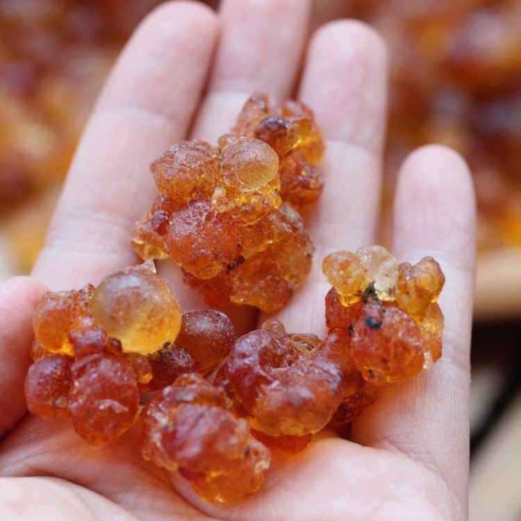 福建古田老树桃胶250克 果冻般口感搭配煮甜品食用好吃