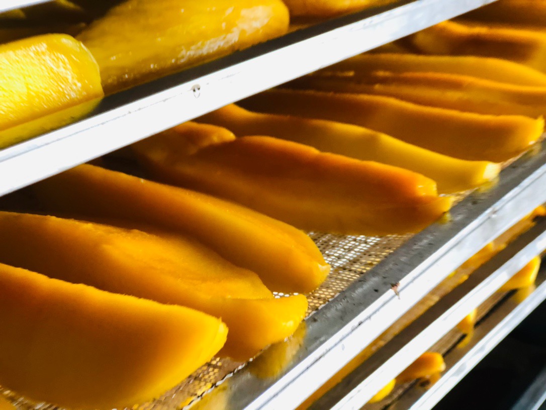 攀枝花芒果干零添加250克包邮