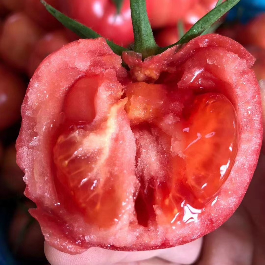 陕西泾阳沙瓤水果西红柿5斤包邮