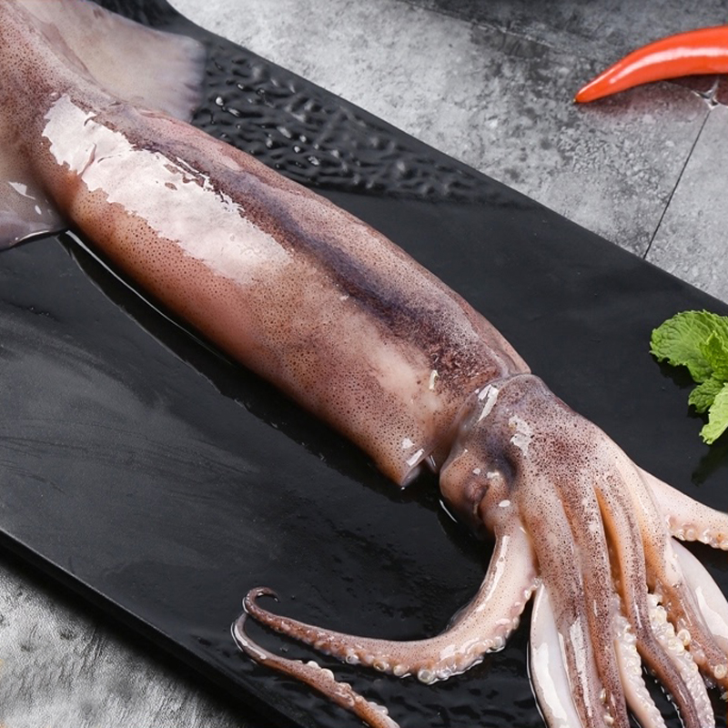 海鲜大鱿鱼  不清理发货 火锅铁板烧烤爆炒速冻锁鲜 5斤/10斤