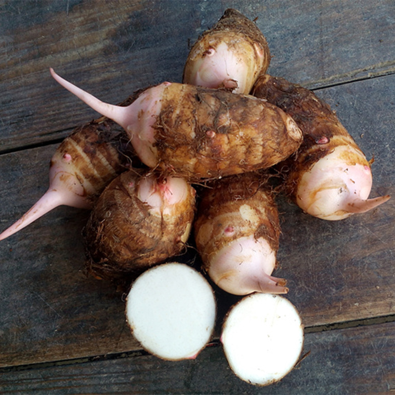 浙江临安红芽芋艿5斤软滑新鲜小芋头毛芋子原产地3斤