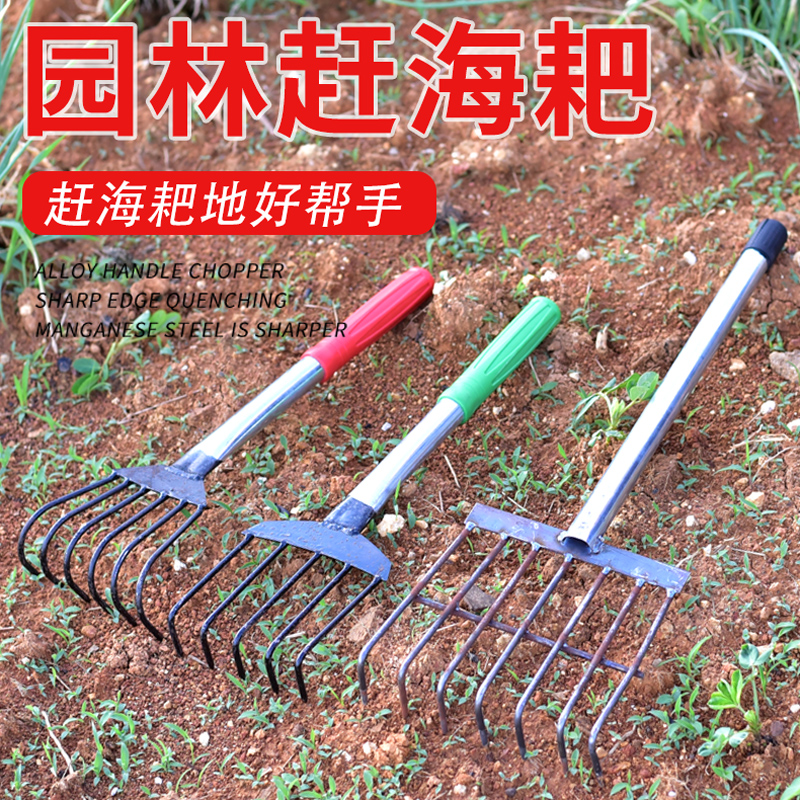 海边挖海鲜工具挖贝壳蛤蜊海蛎子螃蟹花蛤神器铁耙赶海耙子沙滩耙