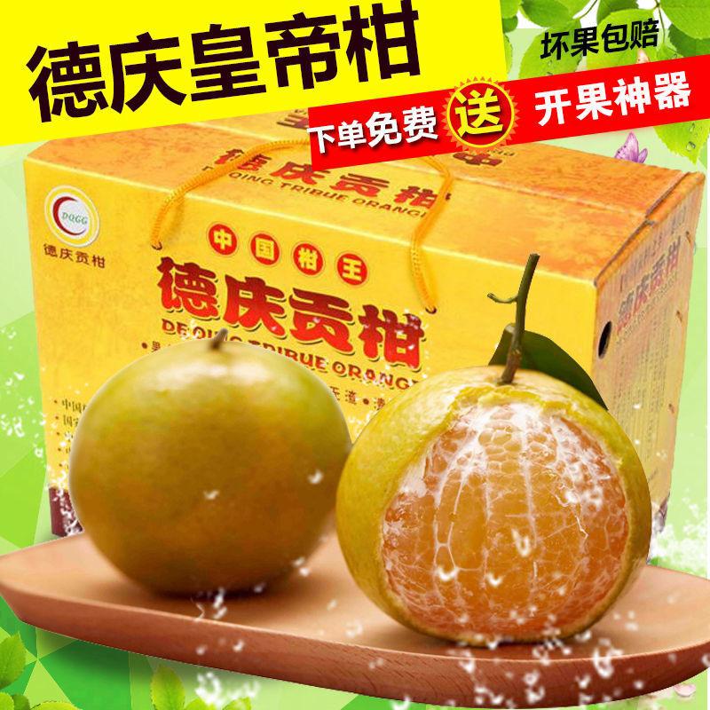 正宗广东德庆皇帝柑贡柑时令新鲜水果香健康上市产地直发礼盒装