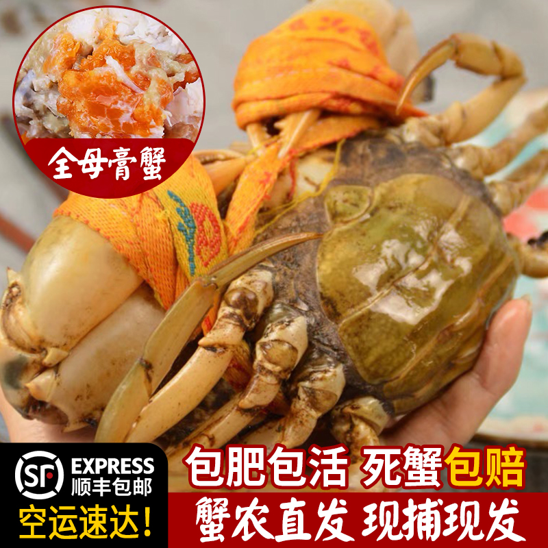 【阿伟家专属4】三门青蟹包肥包活顺丰包邮500g（2斤起售）不能放冰箱