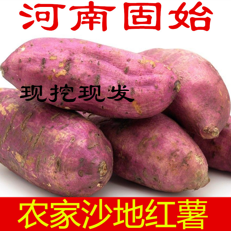 河南固始特产农村自家红薯西瓜红红薯5斤包邮香甜糖心小番薯山芋