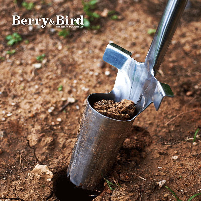 Berry&Bird 种球种植器球根移植郁金香风信子挖洞取土BB园艺工具